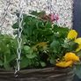 summer haging baskets Image 3