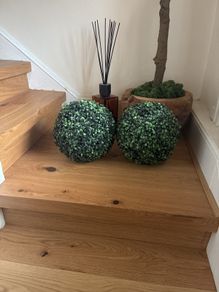 2 topiary balls