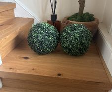 2 topiary balls