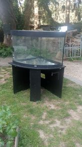 fish/ reptile tank