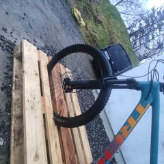 bike