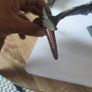 Jurassic World Pteranodon Pterodactyl Mattel Dinosaur Figure Sound Working Image 2