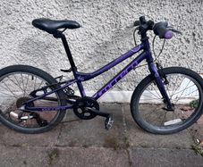 Carrera Saruna Junior 20" Hybrid Bike