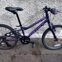 Carrera Saruna Junior 20" Hybrid Bike