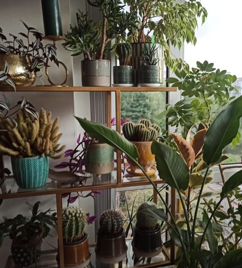 Avoca Gold Metal and Glass Display Shelf