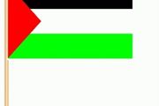 Palestine waving flag (10 flags )