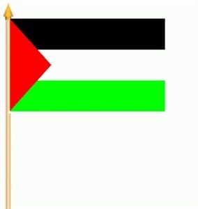 Palestine waving flag (10 flags )