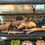 Vintage Carved wooden figures c1970 Image 6