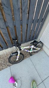 kids 16 frog 48 bike