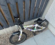 kids 16 frog 48 bike