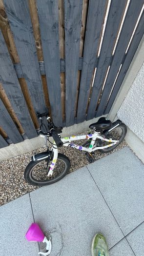 kids 16 frog 48 bike