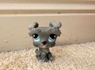 Hasbro Grey Schnauzer Littlest Pet Shop Dog 1393 approx. 5 cm. Used Please see photos