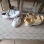 Lacoste leather girls trainers shoes white holls UK 11 eur 29 Image 6