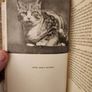 Charles: The Story Of A Friendship.  By Michael Joseph.  1946 Hardback With Dustjacket . See Photos For  Condition. Image 10