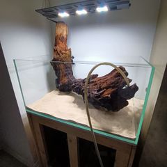 Driftwood