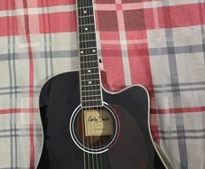Harley Benton D-120CE
