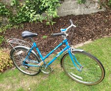 Vintage Raleigh Estelle