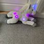 Light up unicorn teddy Image 2