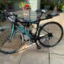 Racing Bike for sale ladies Megamo R10 Tiagra 46cm Image 3