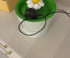 Free read description cat water fountain