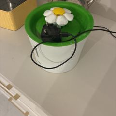 Free read description cat water fountain