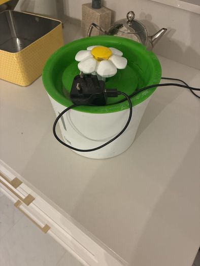 Free read description cat water fountain