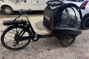 Winther electric Kangaroo Cargo bikes x 2