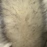 michael kors jacket Image 3