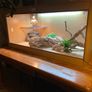 4 ft Habistat Reptile Vivarium and accessories Image 4