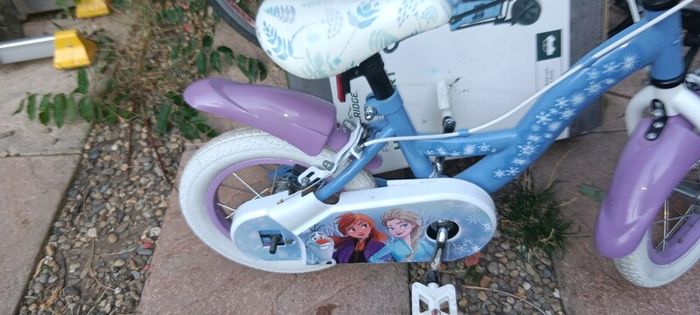 Frozen bike