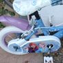 Frozen bike Image 2