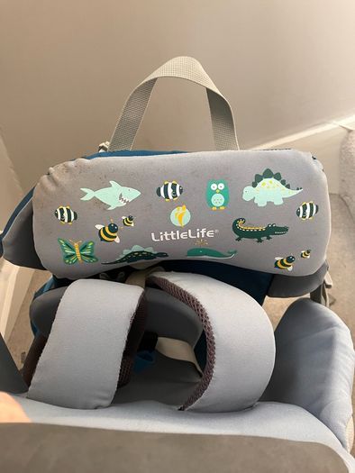 LittleLife Ranger S2 Child Carrier Backpack