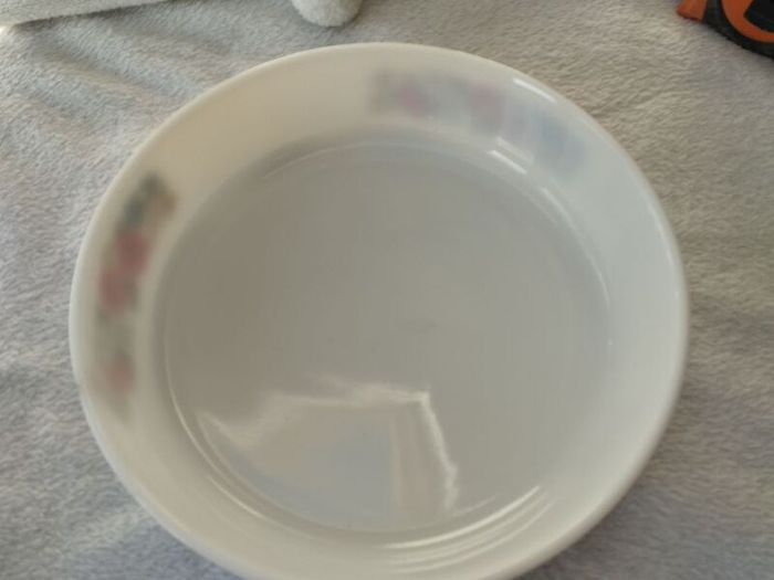 Vintage pyrex dish "Poppy Pattern"