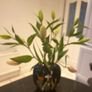 Otahiri  Vintage Japanese vase gorgeous Image 6