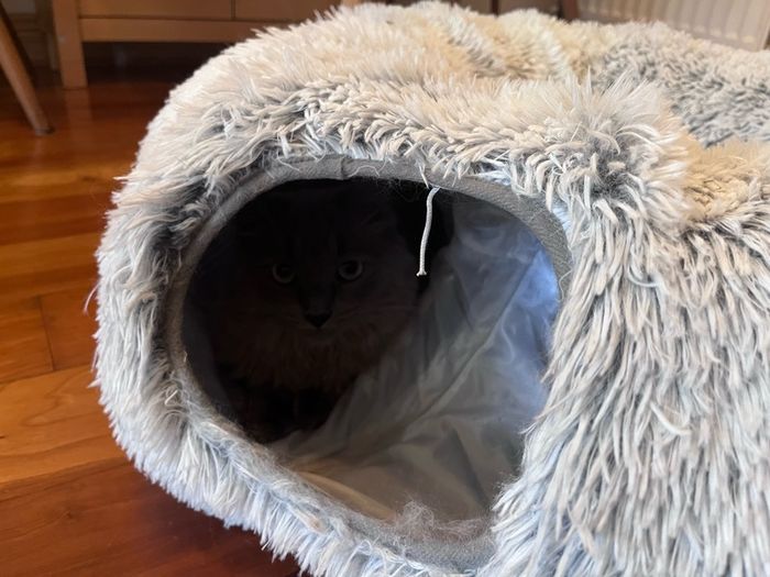 EasyStar, Plush Cat Tunnel for Indoor Cats, 80x25cm,