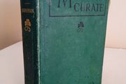 My New Curate: A Story Gathered from the Stray Leaves of an Old Diary by Rev. P. A. Sheehan (GT584)