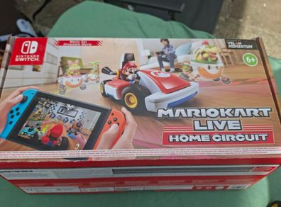 Mariocart Live - home circuit.