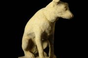 Nipper the Jack Russell EG030