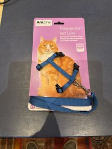 cat Harness and leash