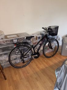 ladys bike