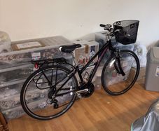 ladys bike