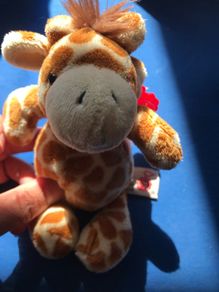 Little cute Giraffe