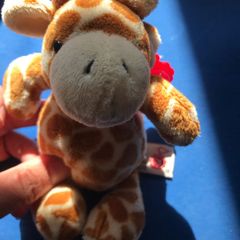 Little cute Giraffe