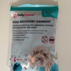 Large recovery surgery suit