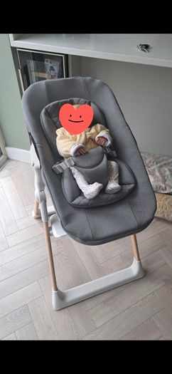 Mash high chair with newborn insert