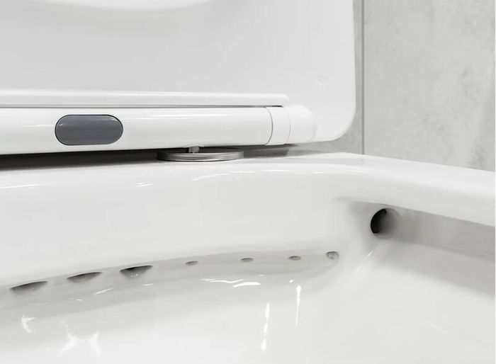 Rimless Toilet