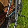 Trek Lexa Road Bike Image 3