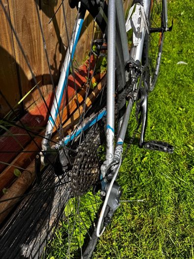 Trek Lexa Road Bike