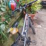 Apollo childs bike Image 4