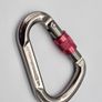 Alpidex Carabiner Image 2